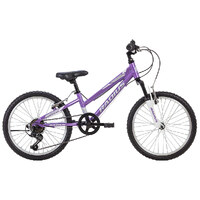 Radius Ponyridge AL2 20inch Girls MTB Alloy Frame