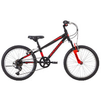 Radius Trailraiser AL20inch Boys MTB Alloy Frame